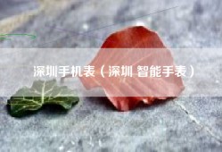 深圳手机表（深圳 智能手表）