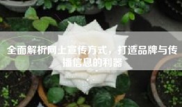 全面解析网上宣传方式，打造品牌与传播信息的利器