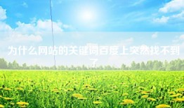 为什么网站的关键词百度上突然找不到了