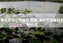 重庆营销公司排名 营销_重庆营销策划有限公司