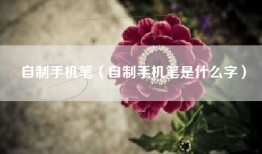 自制手机笔（自制手机笔是什么字）