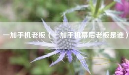 一加手机老板（一加手机幕后老板是谁）