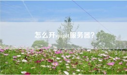 怎么开spigot服务器？