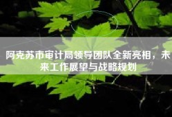 阿克苏市审计局领导团队全新亮相，未来工作展望与战略规划