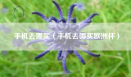 手机去哪买（手机去哪买欧洲杯）