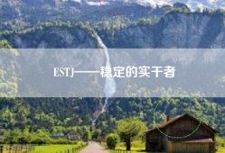 ESTJ——稳定的实干者