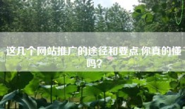 这几个网站推广的途径和要点,你真的懂吗？