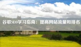 谷歌SEO学习指南：提高网站流量和排名