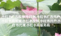 小红书广告投放,小红书,小红书广告开户,小红书商加盟,小红书投放,小红书开户,小红书代理,小红书商服务商