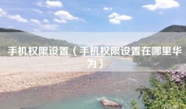 手机权限设置（手机权限设置在哪里华为）