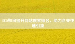 SEO如何提升网站搜索排名，助力企业快速引流