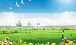 东莞易企宣是如何分析网站没有排名的原因？