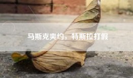 马斯克爽约，特斯拉打假