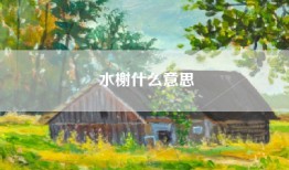 水榭什么意思