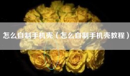 怎么自制手机壳（怎么自制手机壳教程）