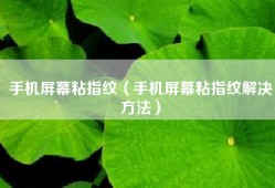 手机屏幕粘指纹（手机屏幕粘指纹解决方法）