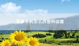 苹果手机怎么改密码设置