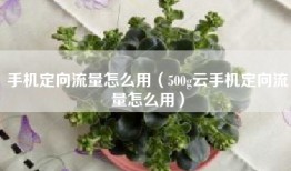 手机定向流量怎么用（500g云手机定向流量怎么用）