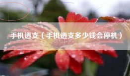 手机透支（手机透支多少钱会停机）