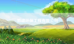 胜建环保工程有限公司