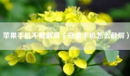 苹果手机不能截屏（安卓手机怎么截屏）