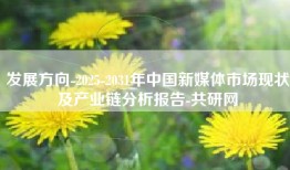 发展方向-2025-2031年中国新媒体市场现状及产业链分析报告-共研网