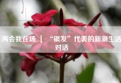 两会我在场 ｜ “银发”代表的新潮生活对话