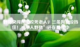野猪突闯民宅咬死老人，三条狗也没挡住！“杀人野猪”还在搜捕中