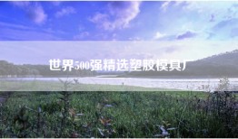 世界500强精选塑胶模具厂