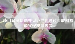 项目案例帮助并见证他们通过互联网营销实现发展蜕变