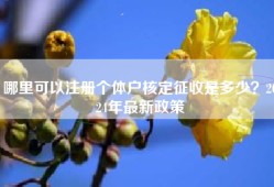 哪里可以注册个体户核定征收是多少？2024年最新政策