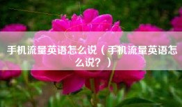 手机流量英语怎么说（手机流量英语怎么说？）