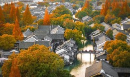 第一视点丨携手构建网络空间命运共同体——写在2024年世界互联网大会乌镇峰会召开之际扫码阅读手机版