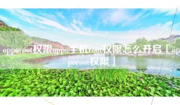 opporoot权限oppo手机root权限怎么开启「opporoot权限」