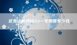 武夷山做网站SEO一年需要多少钱
