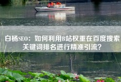 白杨SEO：如何利用B站权重在百度搜索关键词排名进行精准引流？