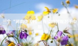三个“河南中关村” 有望同时崛起于中原