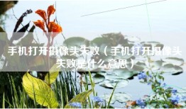 手机打开摄像头失败（手机打开摄像头失败是什么意思）