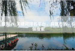 搜狗 PC 关键词排名平台，洞察市场，引领搜索