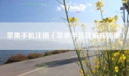 苹果手机注销（苹果手机注销在哪里）