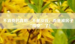 不消费的真相：不是没钱，而是被房子“掏空”了！