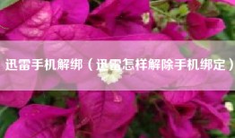 迅雷手机解绑（迅雷怎样解除手机绑定）