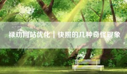 禄劝网站优化｜快照的几种奇怪现象
