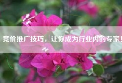 竞价推广技巧，让你成为行业内的专家！