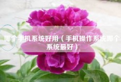 哪个手机系统好用（手机操作系统哪个系统最好）