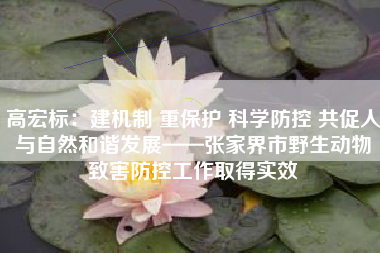 高宏标：建机制 重保护 科学防控 共促人与自然和谐发展——张家界市野生动物致害防控工作取得实效