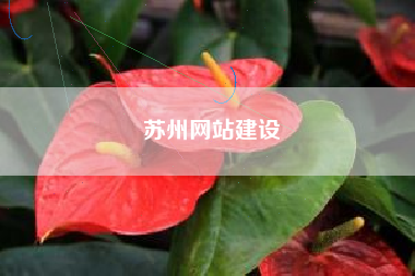 苏州网站建设