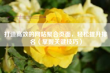 打造高效的网站聚合页面，轻松提升排名（掌握关键技巧）