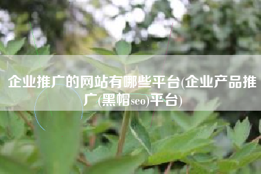 企业推广的网站有哪些平台(企业产品推广(黑帽seo)平台)
