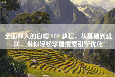 全面深入的白帽 SEO 教程，从基础到进阶，带你轻松掌握搜索引擎优化
